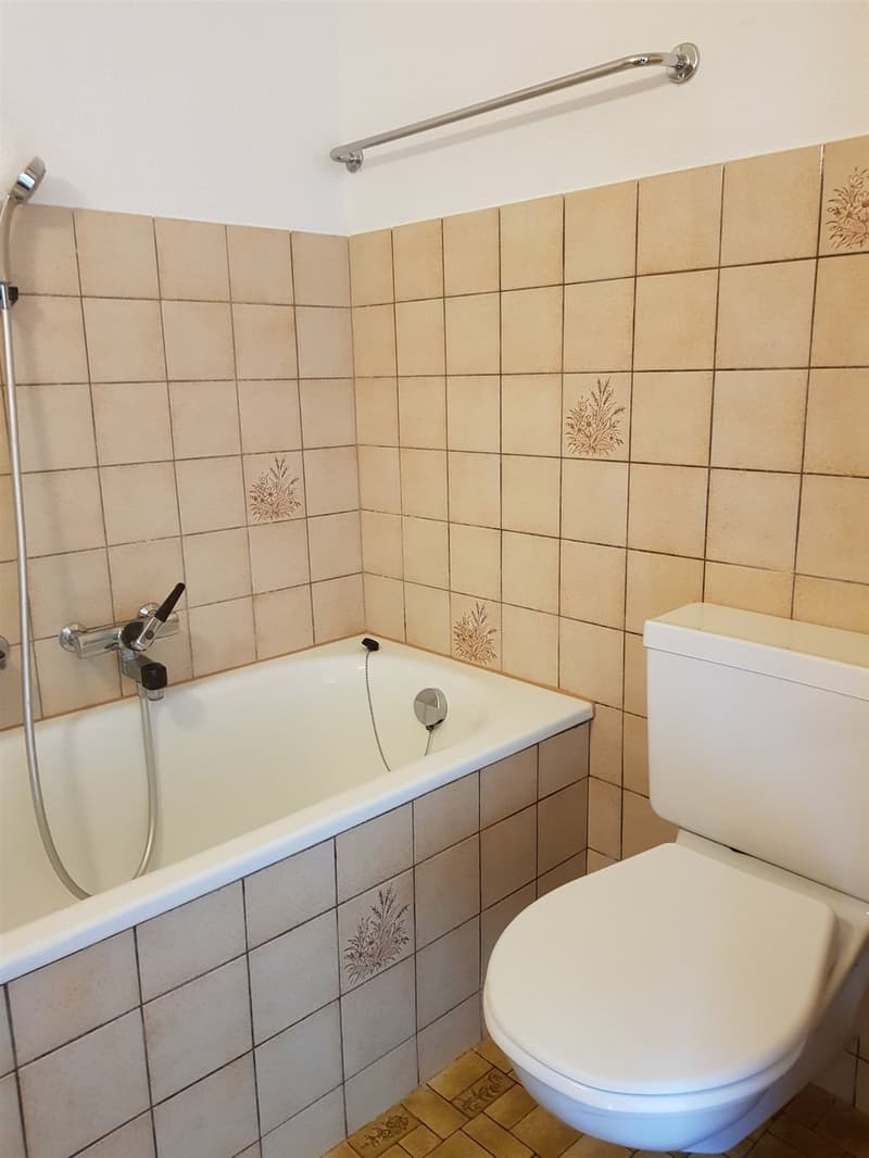 Ideale, gemütliche 1 1/2 Zimmerwohnung! (2)