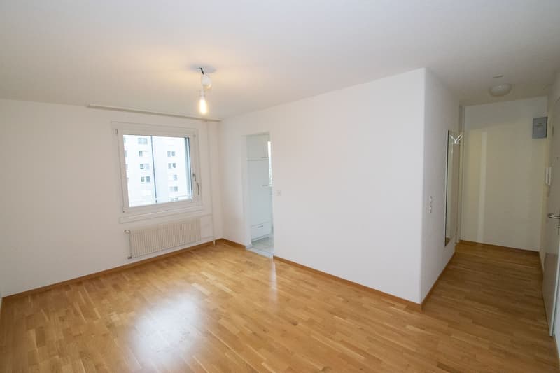 1 Zimmerwohnung in Solothurn (4)