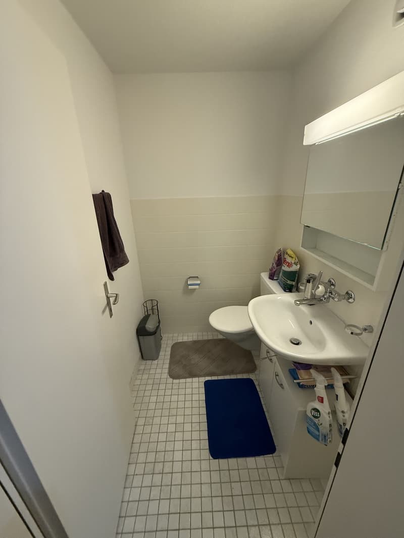 Rassige Wohnung in Weinfelden! (6)