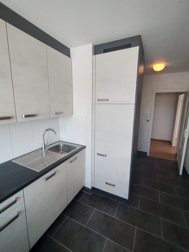 Au centre de Malley splendide appartement renové avec balcon et vue (5)