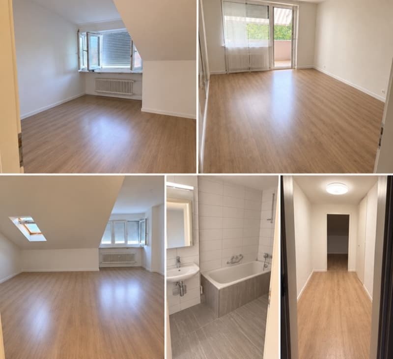 Charmante 3-Zimmer-Wohnung mit Balkon & Gartenmitbenutzung Reinach BL (3)