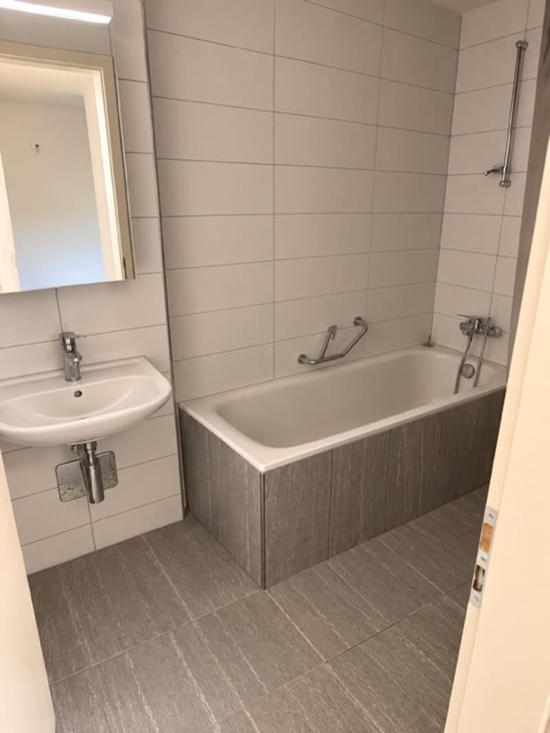 Charmante 3-Zimmer-Wohnung mit Balkon & Gartenmitbenutzung Reinach BL (10)