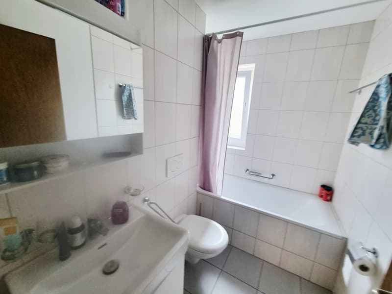 Komfortable Wohnung in der grünen Natur (2)