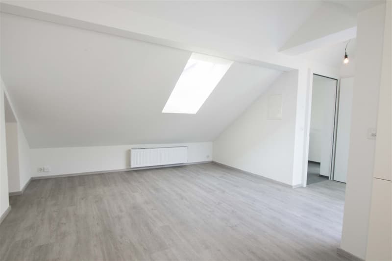 Moderne Dachwohnung mit ganz toller Aussicht! (4)