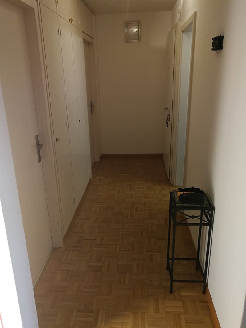 Traumsicht auf den Zürichsee! (4)