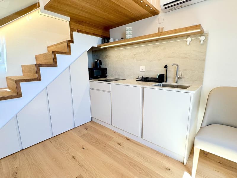 Exklusive möblierte Dachwohnung mit atemberaubender Aussicht über Zürich (7)