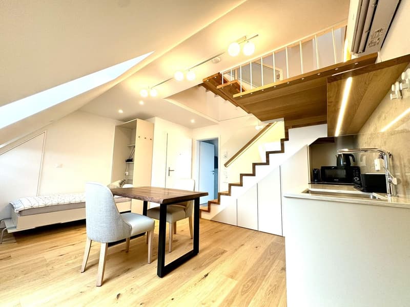 Exklusive möblierte Dachwohnung mit atemberaubender Aussicht über Zürich (4)