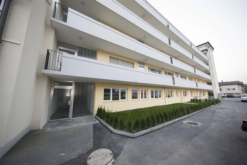 Topmoderne Studiowohnung mit Gartensitzplatz! (1)
