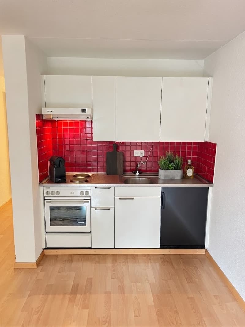 Zentrales Wohnglück Charmante 1-Zimmer-Wohnung zu vermieten! (3)