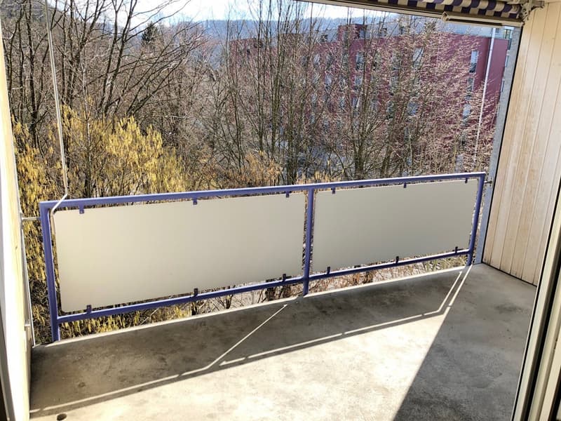 Dachwohnung mit Gallerie (12)