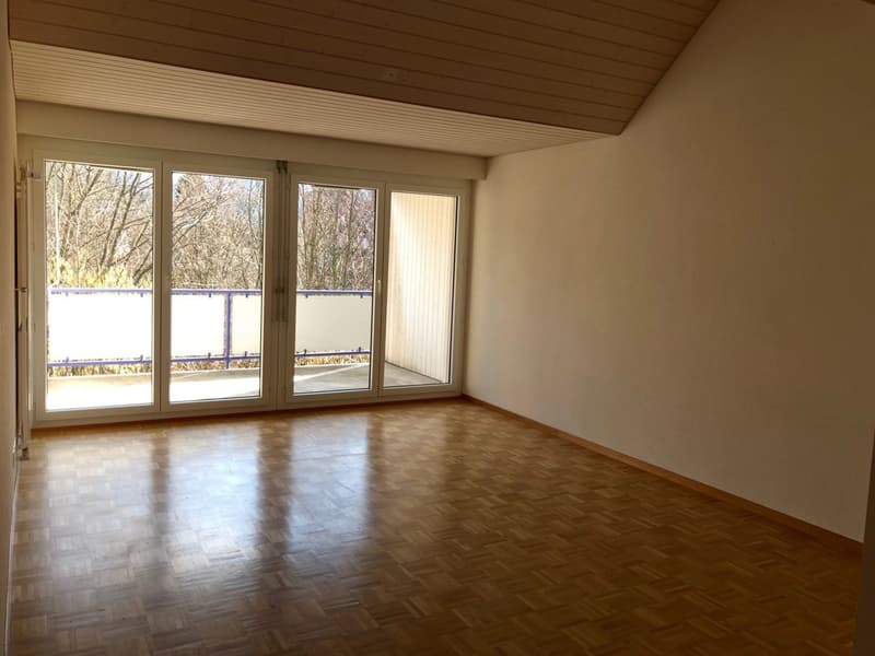 Dachwohnung mit Gallerie (11)