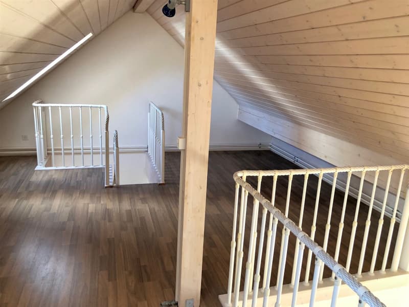 Dachwohnung mit Gallerie (10)