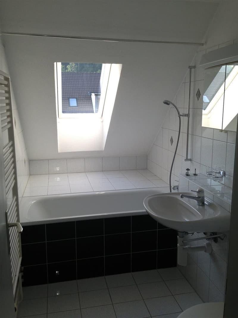 Dachwohnung mit Gallerie (6)