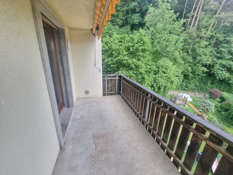 Rustikalische Maisonet-Wohnung mit Chemineé. Ein Besuch lohnt sich ! (10)