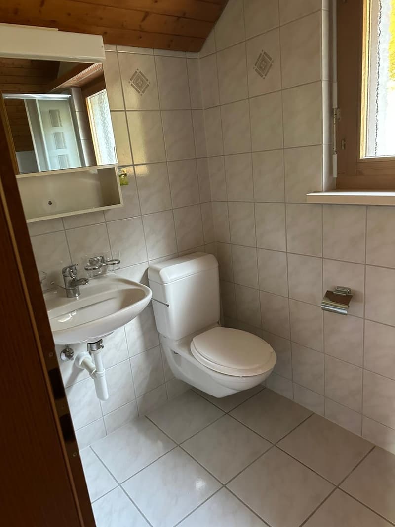 Rustikalische Maisonet-Wohnung mit Chemineé. Ein Besuch lohnt sich ! (7)