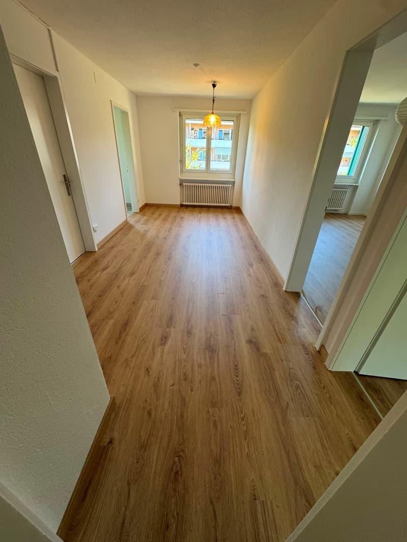 Wohnung mit herrlichem grünen Umschwung ! (1)