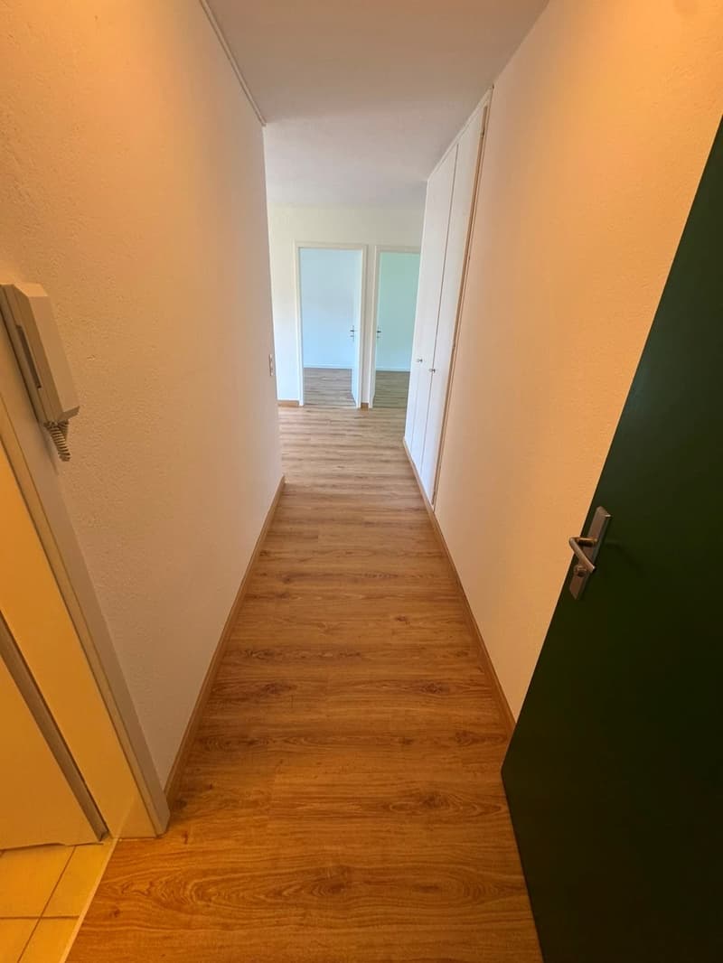 Wohnung mit herrlichem grünen Umschwung ! (2)