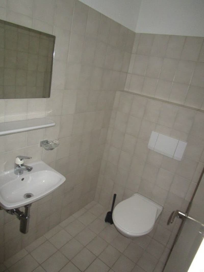 Wohnung mit herrlichem grünen Umschwung ! (9)