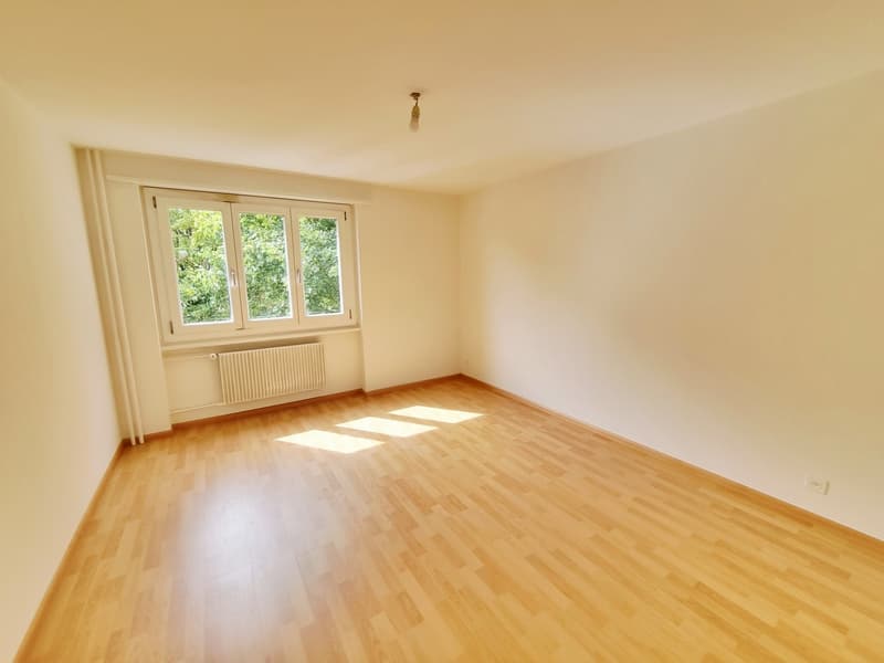 Wohnung mit grünem Umschwung! (5)
