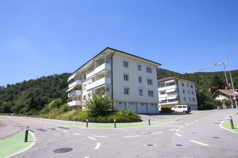 Die ideale Wohnung in Trimbach! (1)