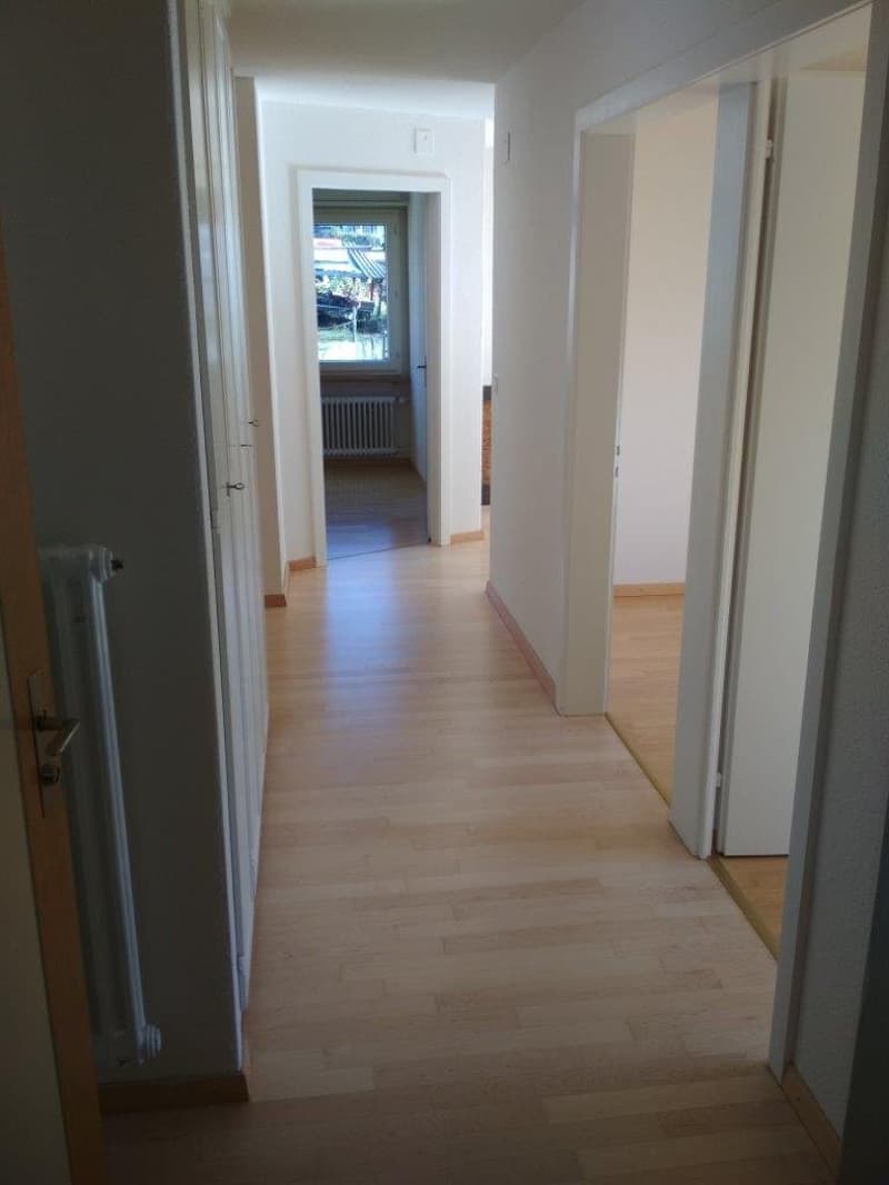 Traumpreis,Top Angebot! (2)
