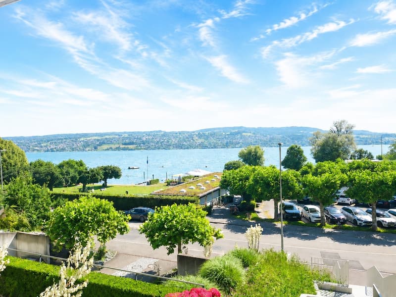 Ihr neues Zuhause mit atemberaubender Seesicht und Badeplatz (3)