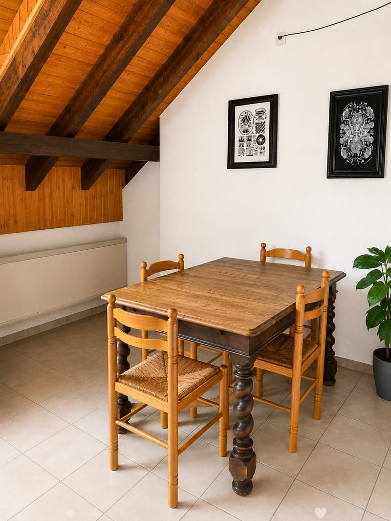 Tolle Maisonette-Wohnung mit Cheminée - ideale Lage ! (3)