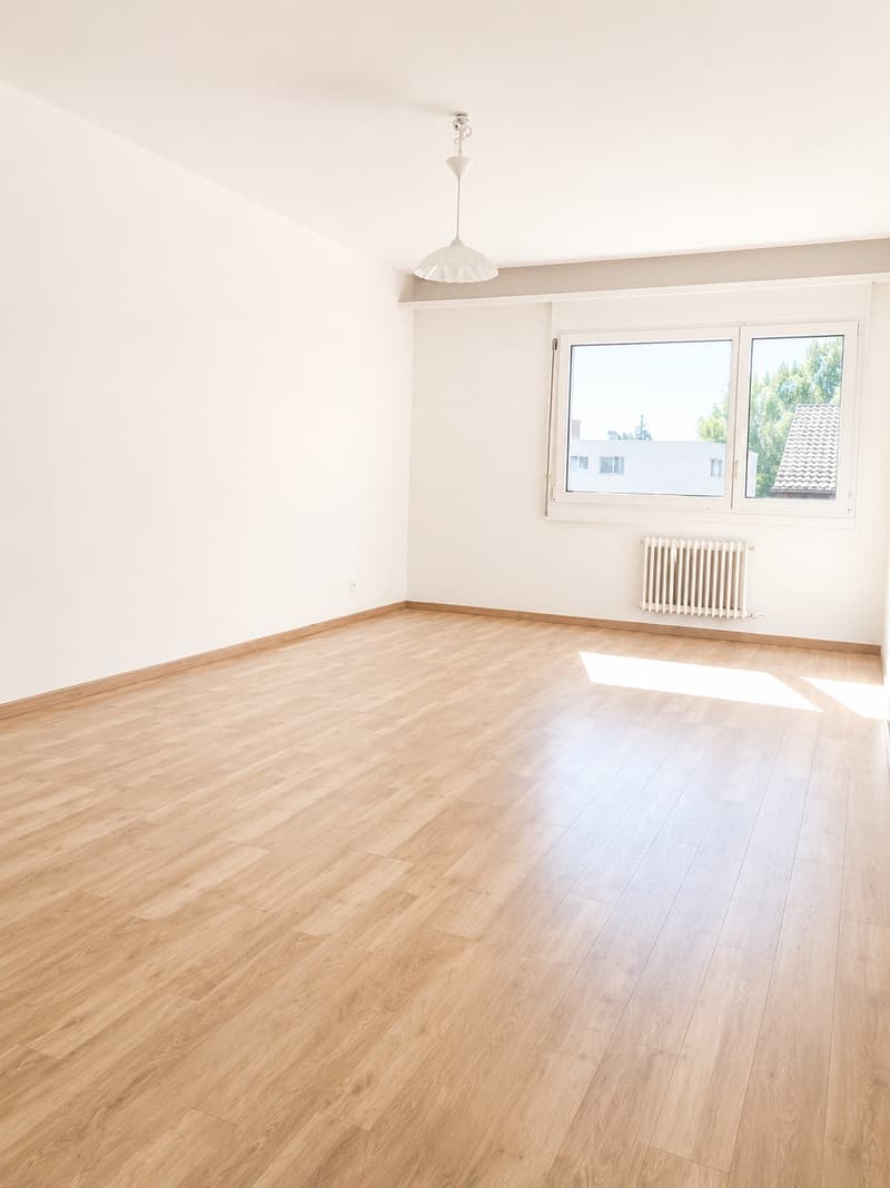 Bel appartement fraîchement repeint, idéalement situé (4)
