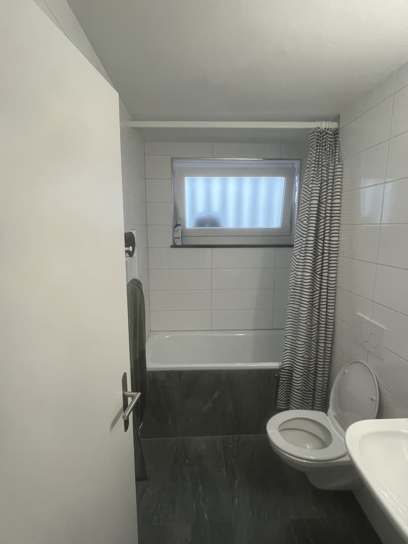 Charmante 2.5-Zimmerwohnung in Liestal (9)