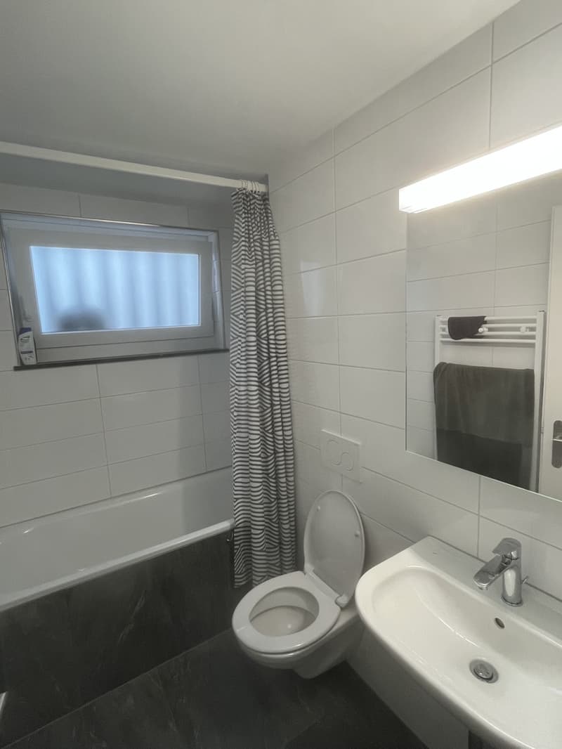 Charmante 2.5-Zimmerwohnung in Liestal (10)