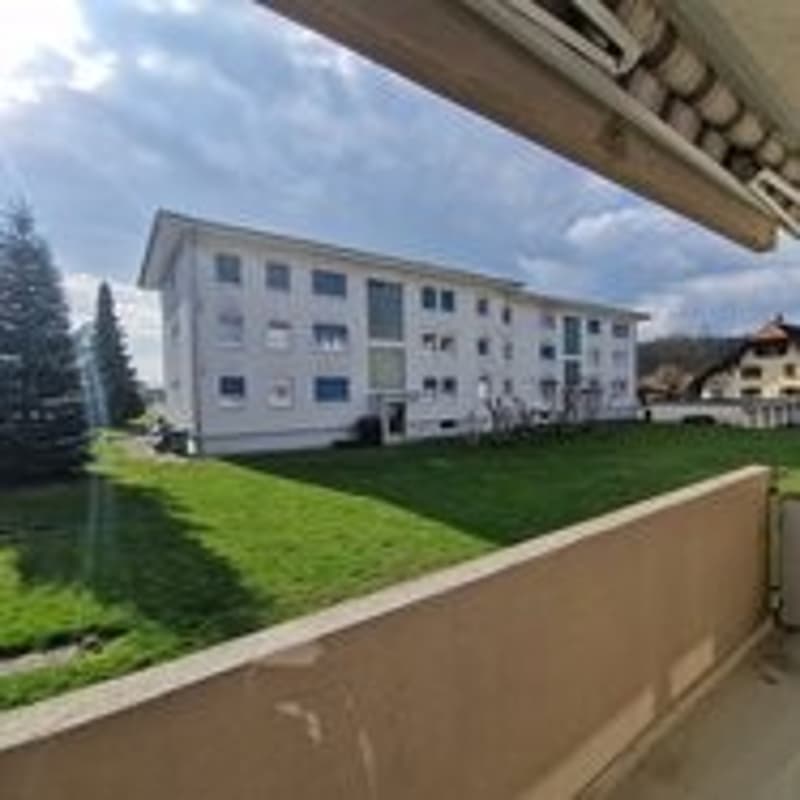 Schöne renovierte 3-Zimmerwohnung mit Balkon und Gartensicht in Roggwil (1)