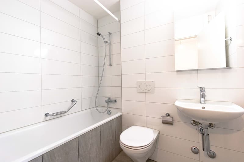 Traumhafte Wohnung (3)