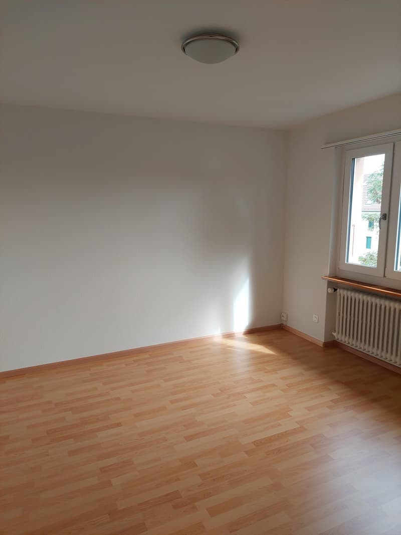 Ideale 1 Zimmerwohnung für Singles oder Paare (2)