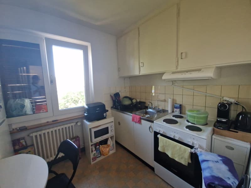 Ideale 1 Zimmerwohnung für Singles oder Paare (4)