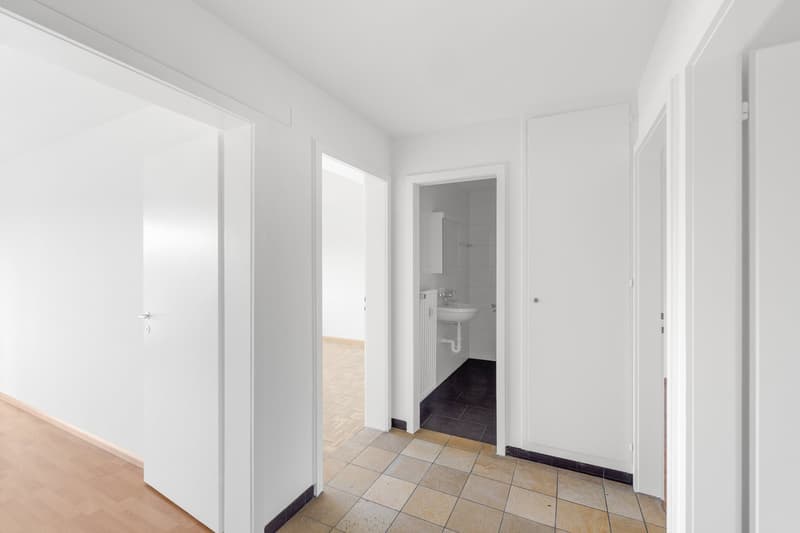 Renovierte Küche und Badezimmer! So ein Angebot lassen Sie sich nicht nehmen ! (4)