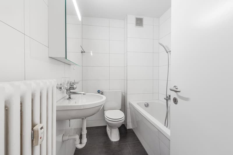 Renovierte Küche und Badezimmer! So ein Angebot lassen Sie sich nicht nehmen ! (7)