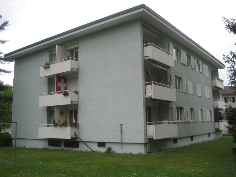 Gemütliche Neu renovierte 3,5 Zimmer- Wohnung in Bülach (1)