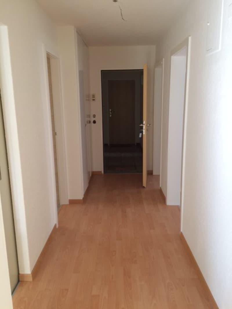Gemütliche Neu renovierte 3,5 Zimmer- Wohnung in Bülach (5)