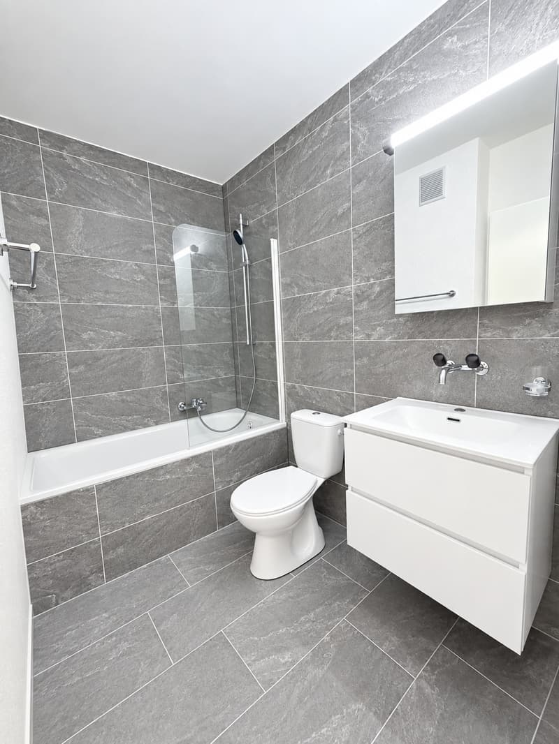 Première location après rénovation (3)