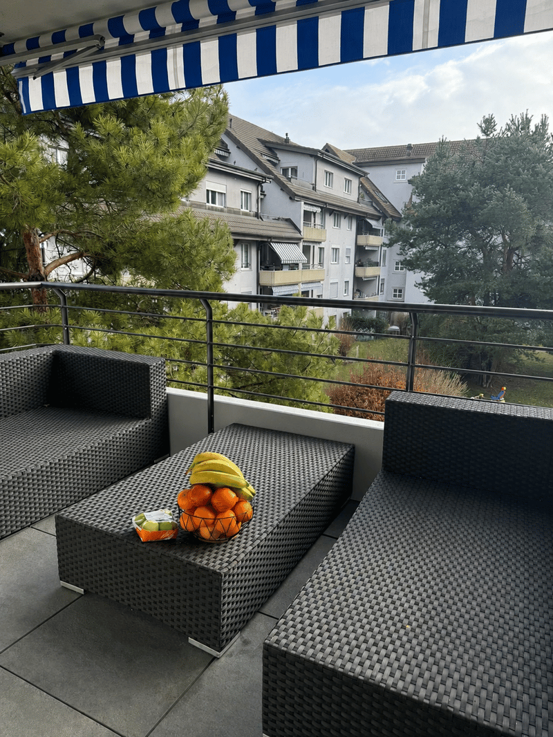 Emplacement ideal - spacieux et calme (7)