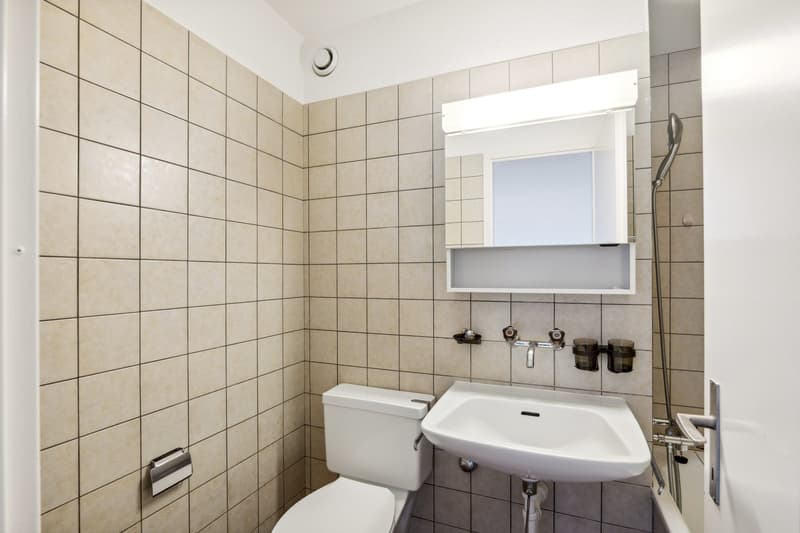 Tolle Single Wohnung - gute Lage ! (6)