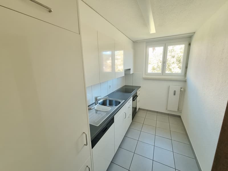 Schöne 4-Zimmerwohnung im Grünen (1)