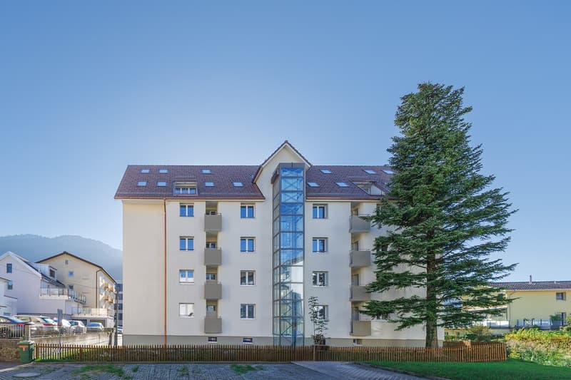 Attraktive Neurenoviert Wohnungen (2)