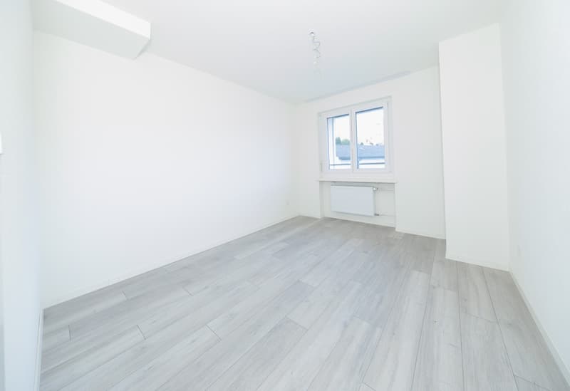 Attraktive Neurenoviert Wohnungen (11)