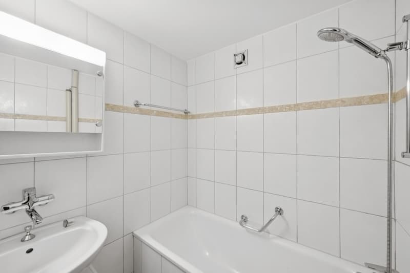 Schöne 3 ZWG mit grossem Balkon! (5)
