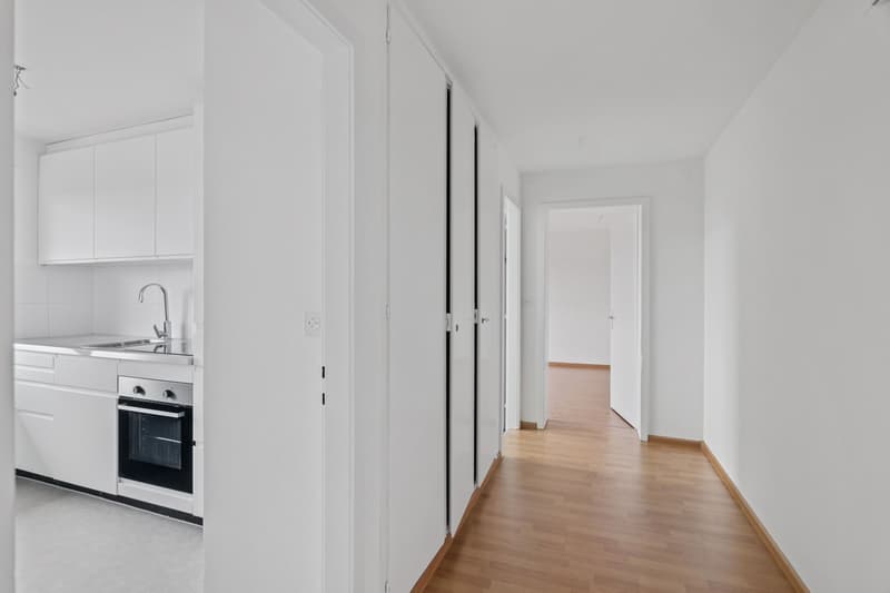 Jetzt einziehen - frisch renovierte Wohnung ruhig, grün und zentral (8)
