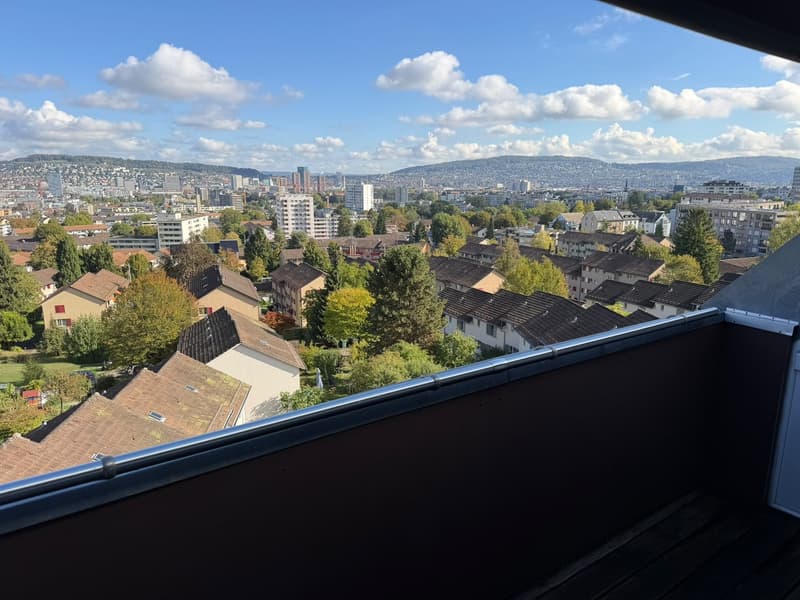 Traumhafte Dachwohnung mit atemberaubender Aussicht über Zürich! (8)