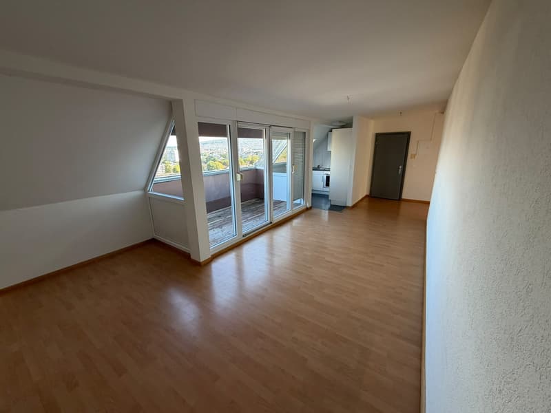 Traumhafte Dachwohnung mit atemberaubender Aussicht über Zürich! (3)