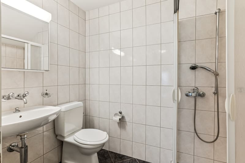 Günstige Wohnung in gepfleger Liegenschaft (9)