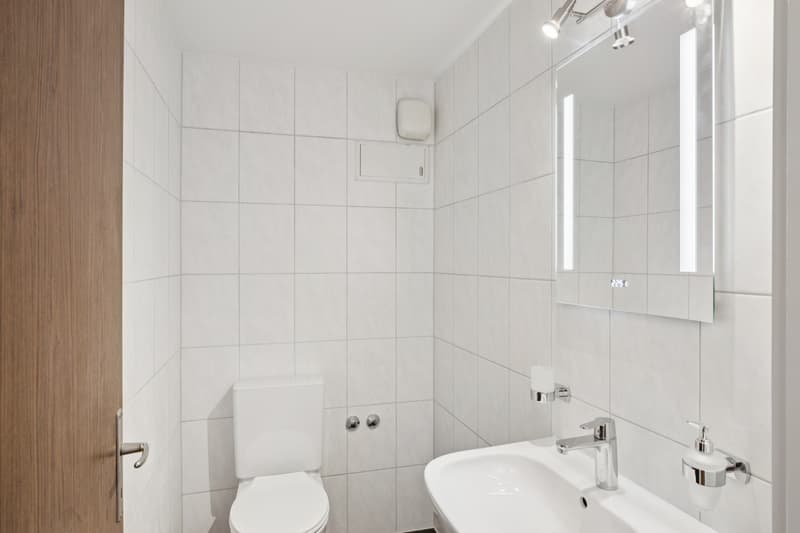 Frisch renovierte 4.5-Zimmerwohnung an ruhiger und zentraler Lage (7)